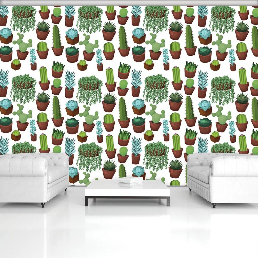 Fototapeta - Kaktus (152,5x104 cm)