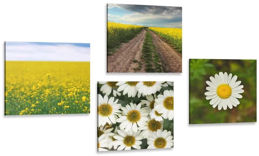 Set obrazov lúka plná kvetov Varianta: 4x 60x60