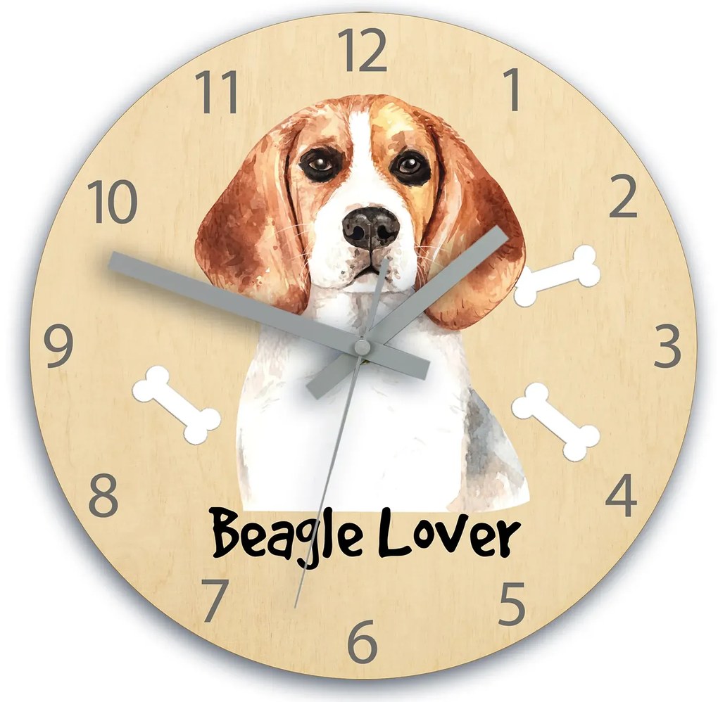 Dětské nástěnné hodiny Ami Bígl 30 cm vícebarevné