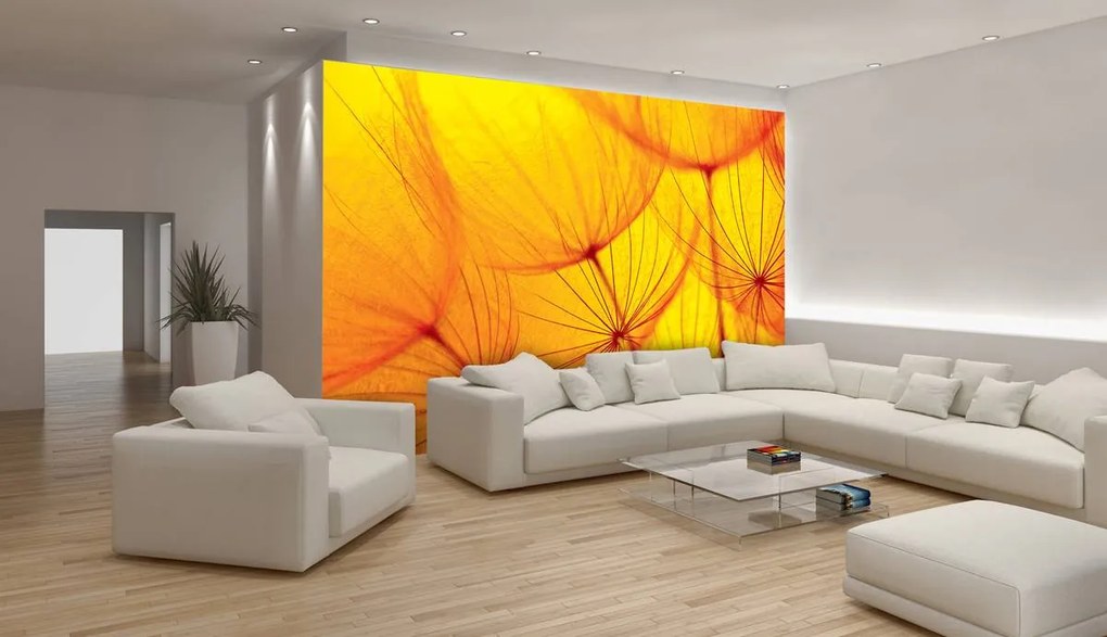 Fototapeta - Abstraktné umenie (152,5x104 cm)
