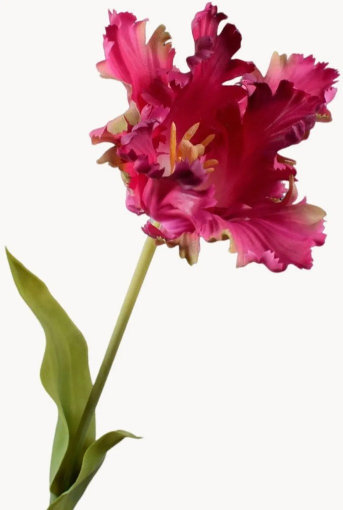 Rastlinné dekorácie Tulip Real Touch, 2 ks