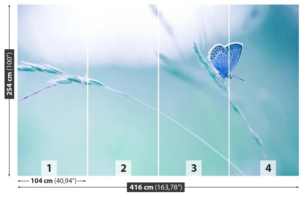 Fototapeta Vliesová Motýlie tráva 250x104 cm