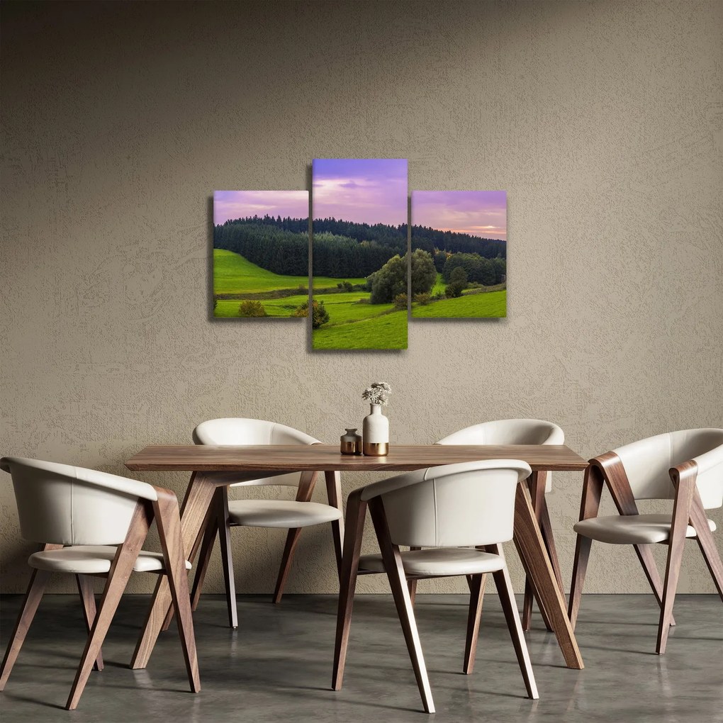 Obraz lúky (90x60 cm)