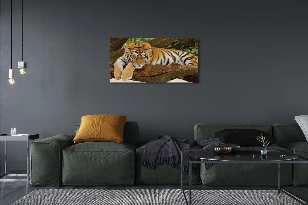 Obraz na plátne tiger tree 100x50 cm