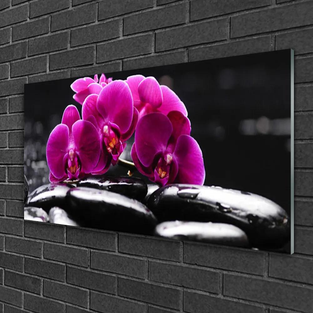 Skleneny obraz Kamene zen orchidea kúpele 120x60 cm