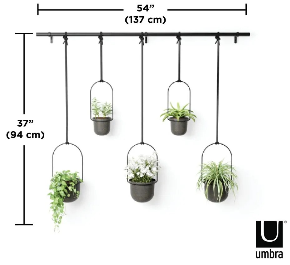 Plastový obal na kvetináč 5 ks na bylinky/závesný a nástenný ø 7,5 cm Triflora – Umbra