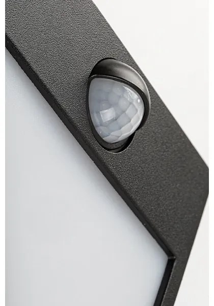 Rabalux 7478-LED Vonkajšie nástenné svietidlo so senzorom BALIMO LED/12W/230V IP44