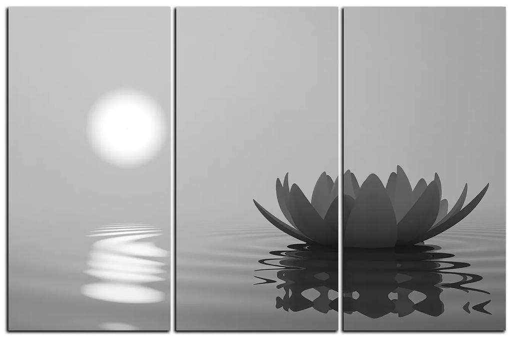 Obraz na plátne - Zen lotus 1167QB (105x70 cm)