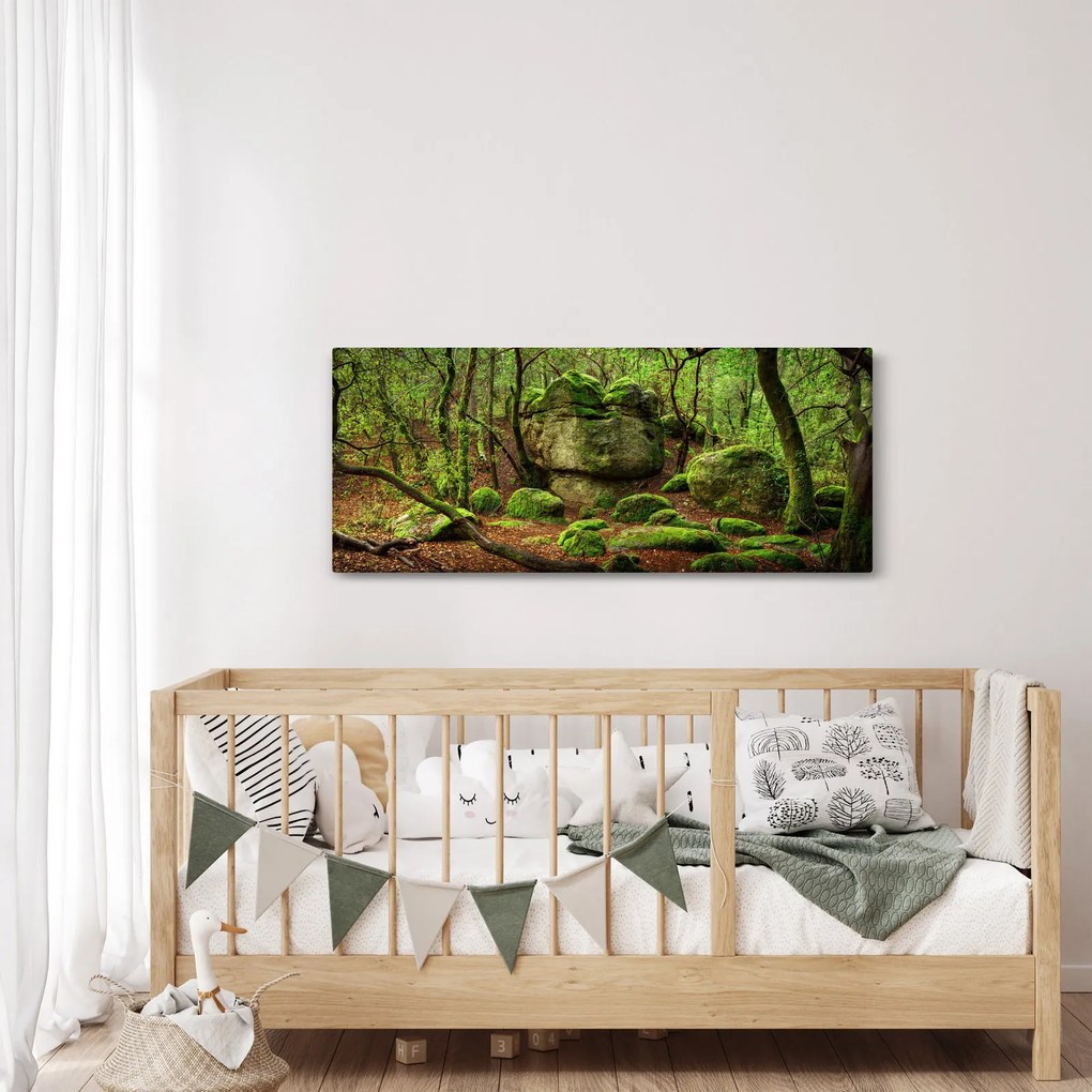Obraz čarovného lesa (120x50 cm)