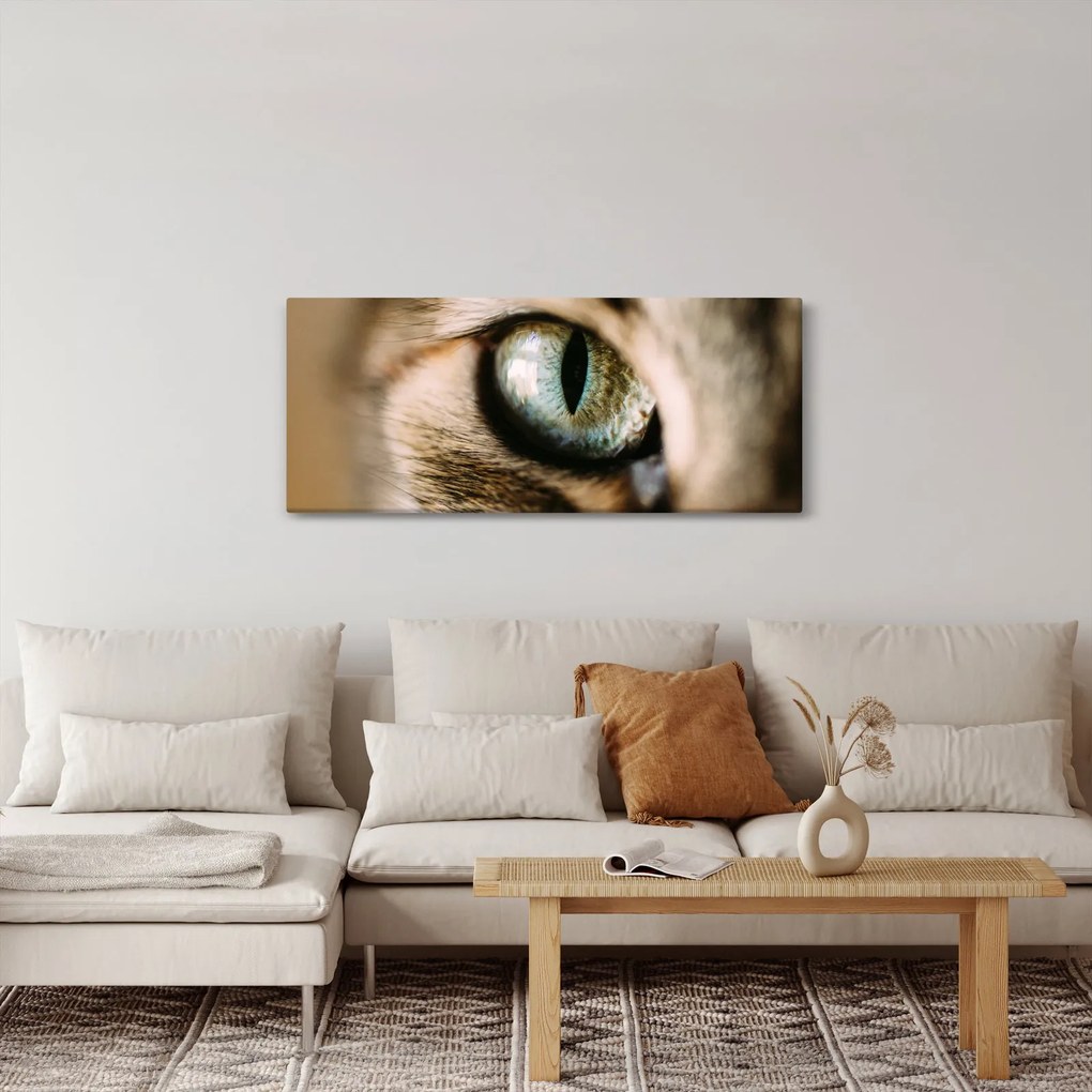 Obraz - Mačacie oko (120x50 cm)