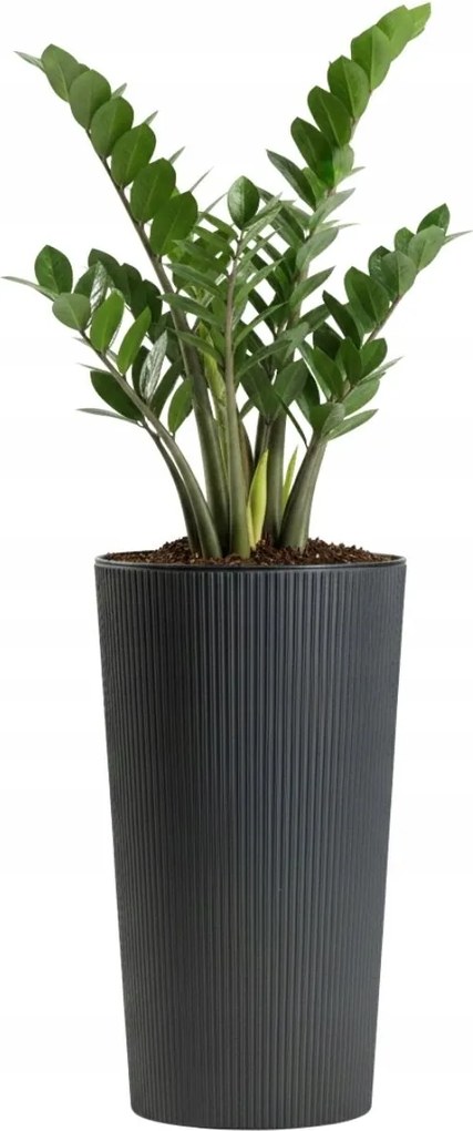 Sada 2 ks květináčů URBANIKA ECO antracitová