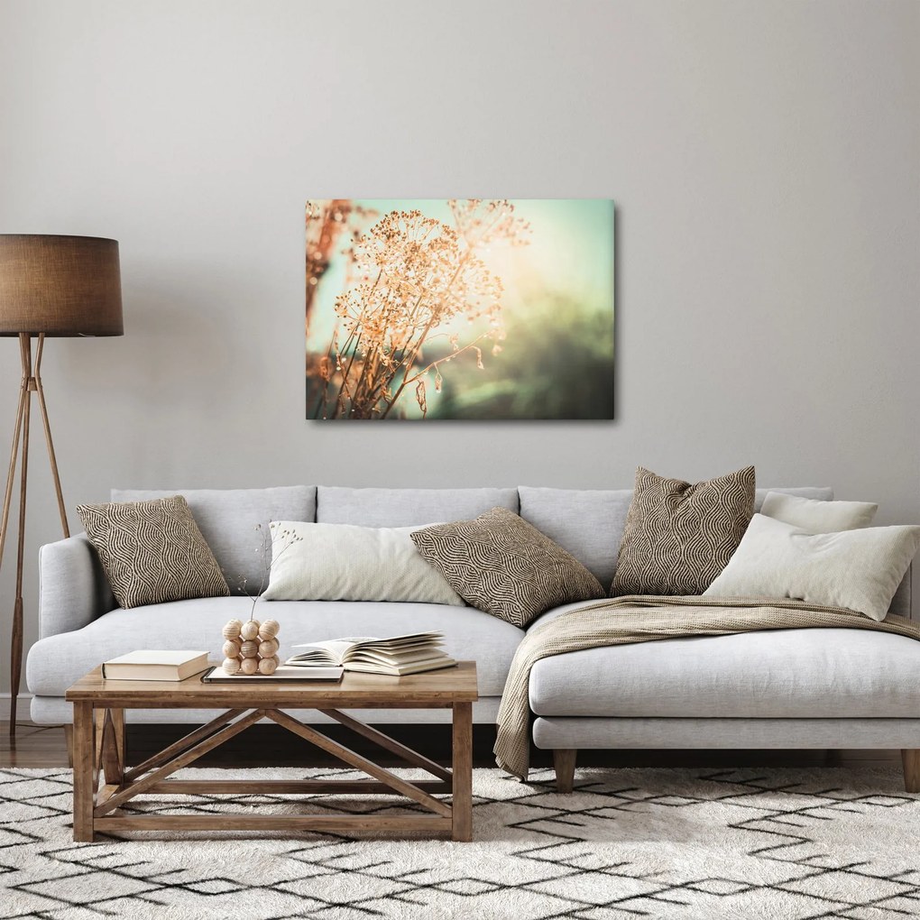Obraz - Lúčne rastliny (70x50 cm)