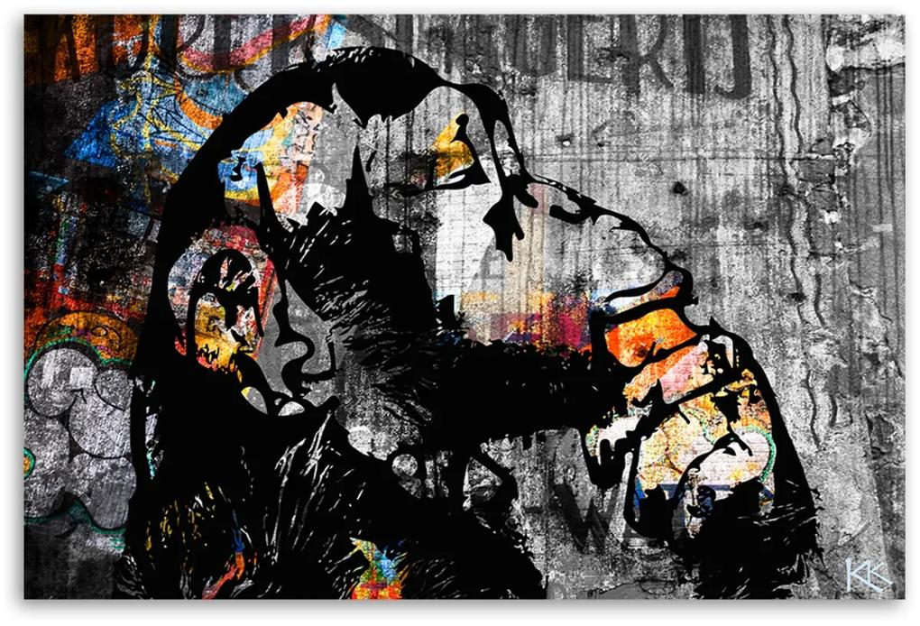 Obraz na plátně, Street Art Banky Monkey Abstraction - 60x40 cm