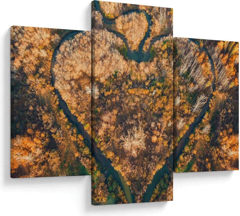 Obraz - Rieka v tvare srdca (90x60 cm)