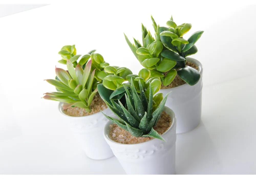Umelé rastliny v súprave 6 ks (výška 11 cm) – Casa Selección