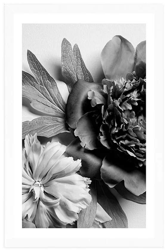 Plagát s paspartou pivonky v čiernobielom prevedení - 40x60 silver