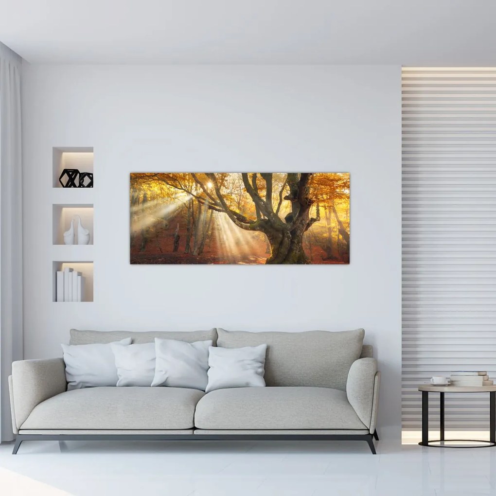 Obraz - Jesenný svit (120x50 cm)