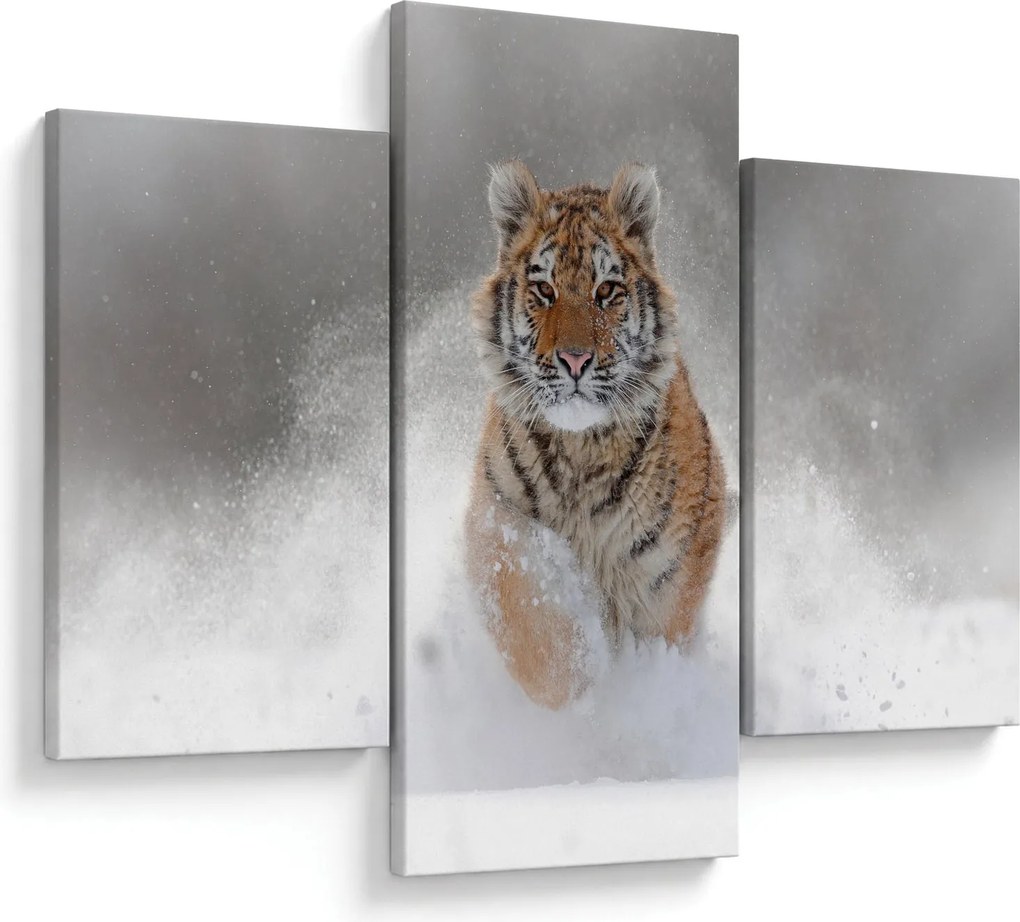 Obraz bežiaceho tigra v snehu (90x60 cm)