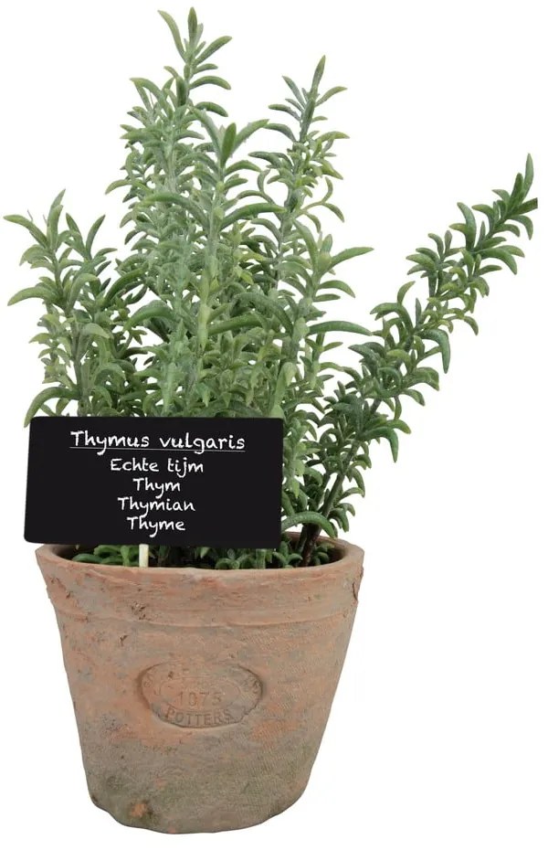 Umelá rastlina (výška 21,5 cm) Thyme – Esschert Design