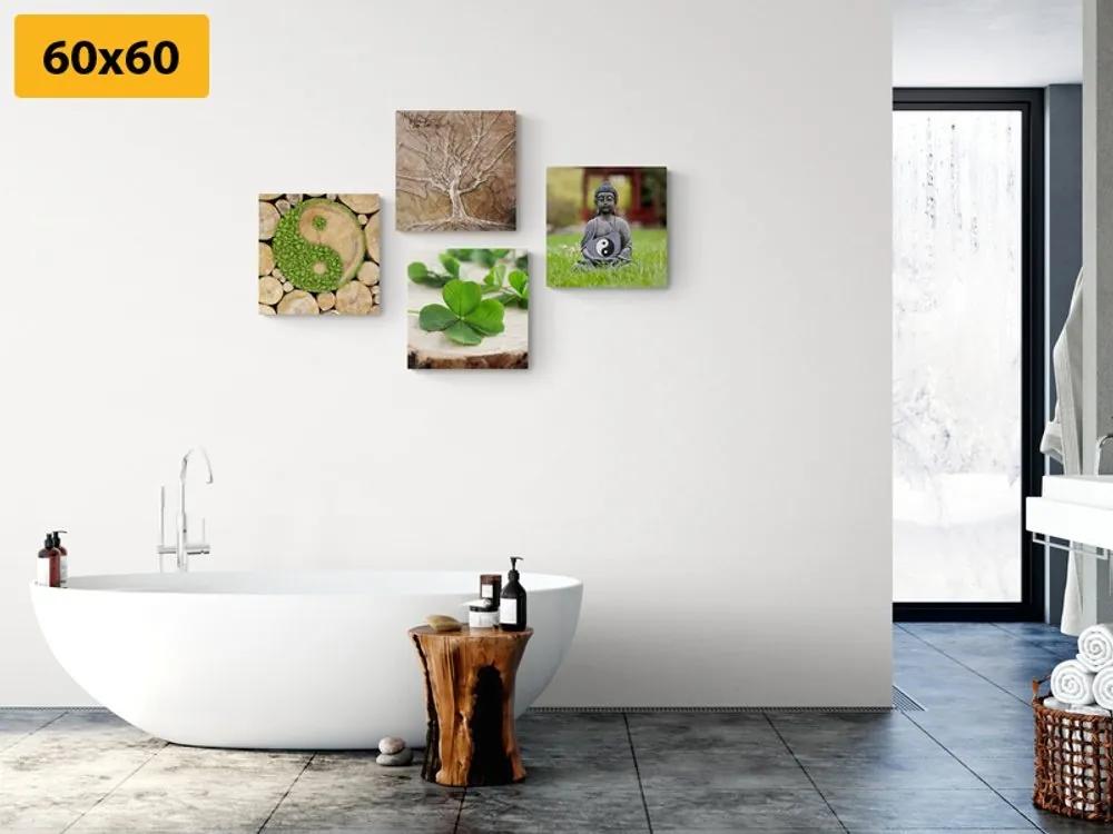 Set obrazov Feng Shui s prvkami prírody - 4x 60x60