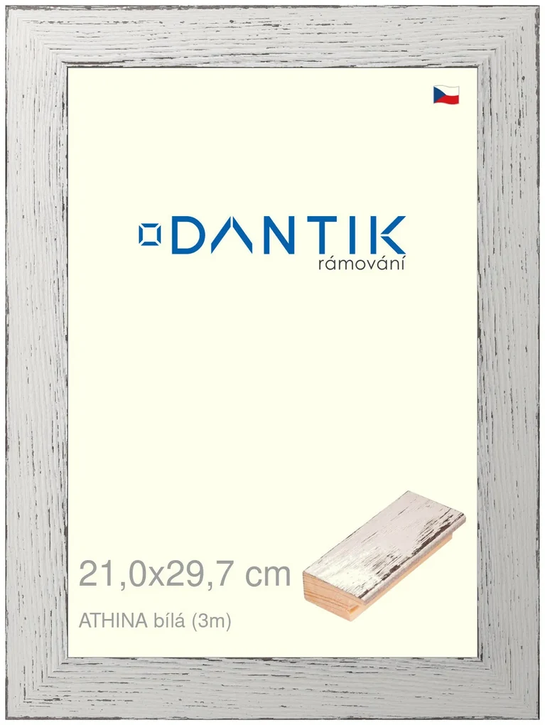 DANTIK rám na obraz 21x29,7 | ATHINA Bílá (Sklo Čiré)