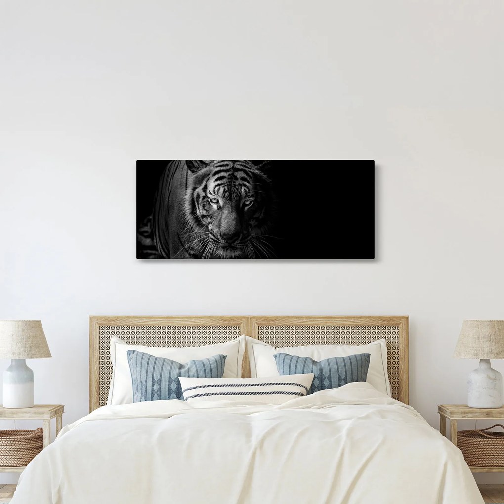 Obraz divokého tigra (120x50 cm)