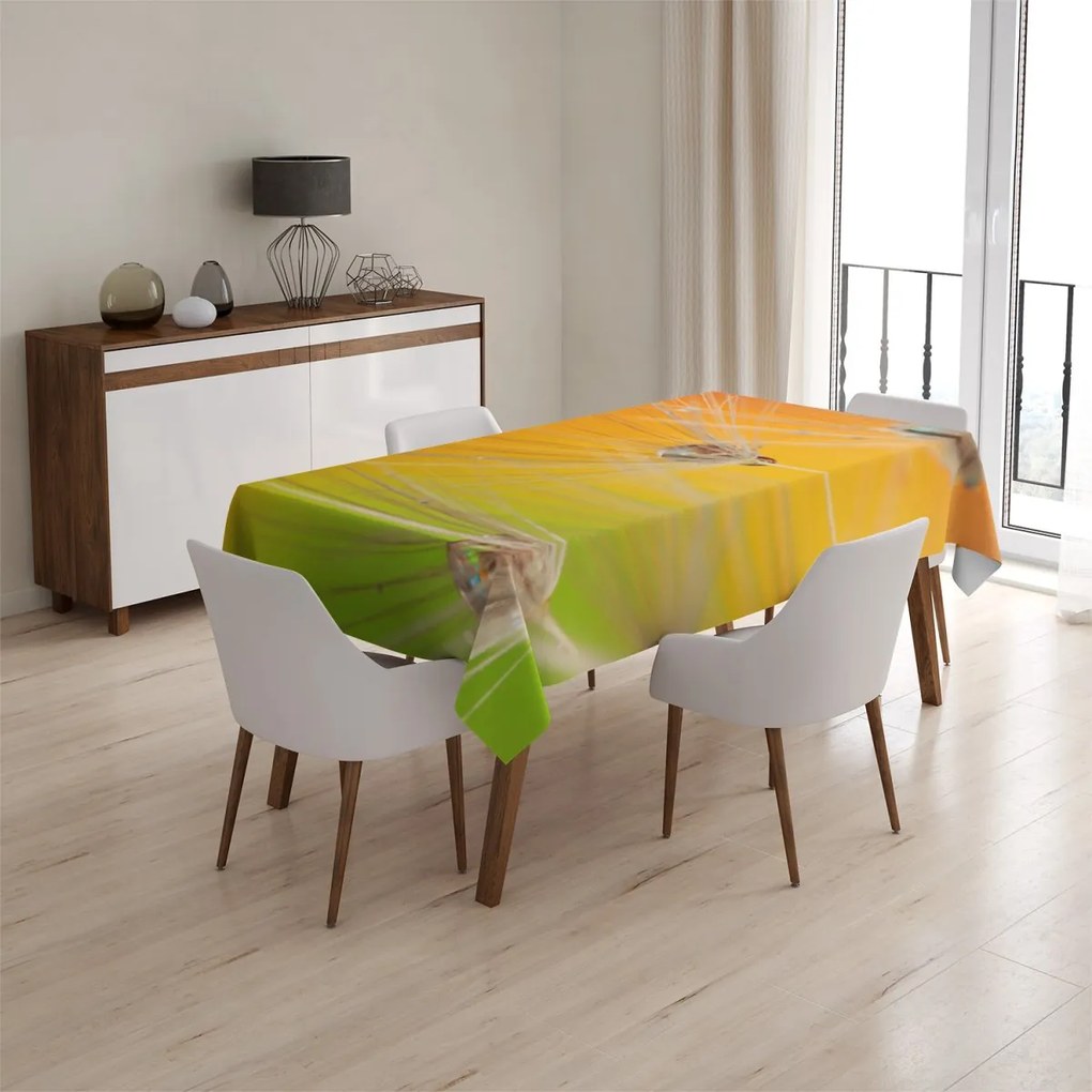 Sablio Obrus Odkvitnuté púpavy 2 - 90x90 cm