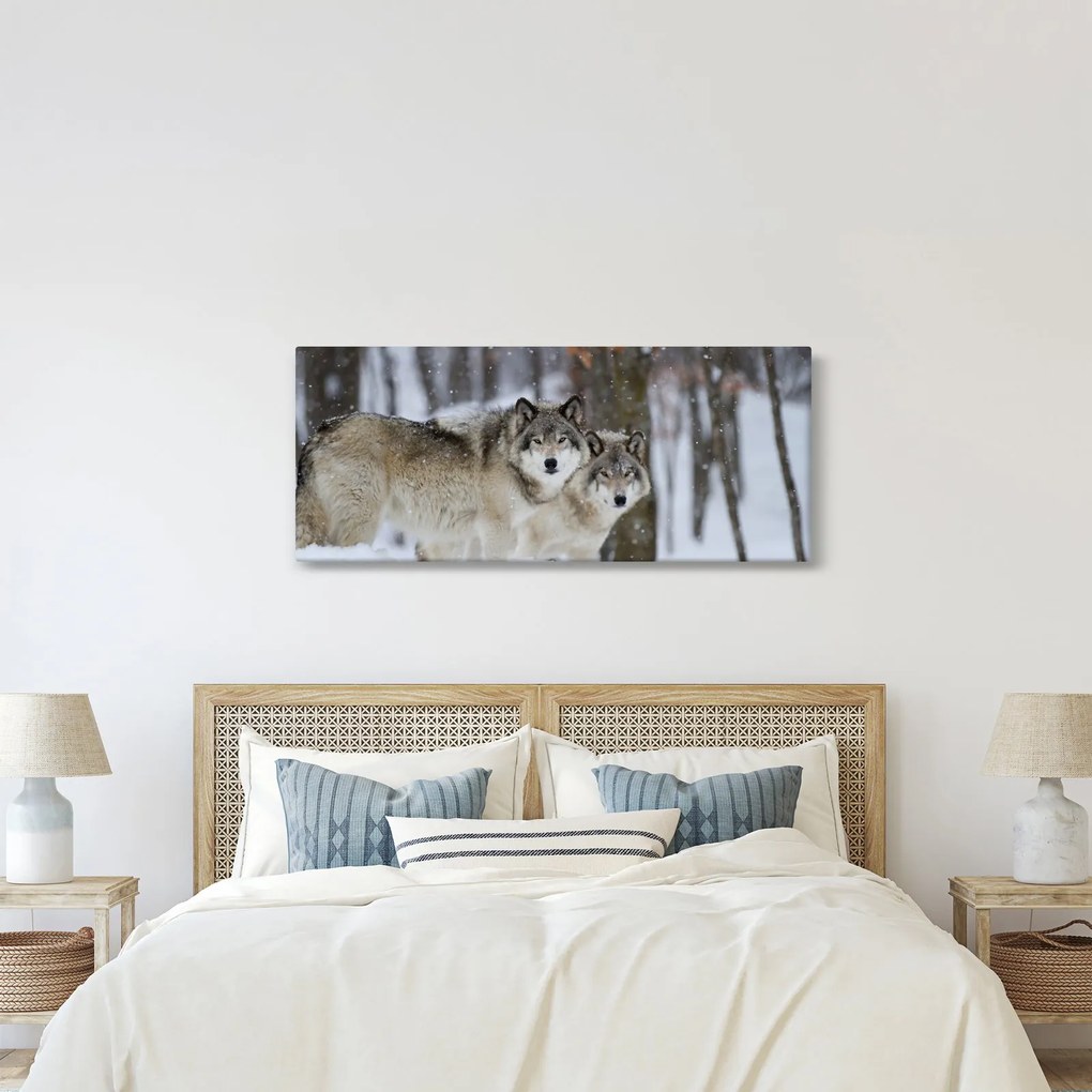 Obraz - Vlci v zime (120x50 cm)