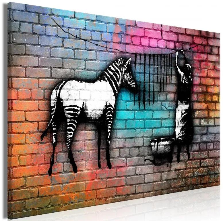 Artgeist Obraz - Washing Zebra - Colourful Brick (1 Part) Wide Veľkosť: 60x40, Verzia: Na talianskom plátne