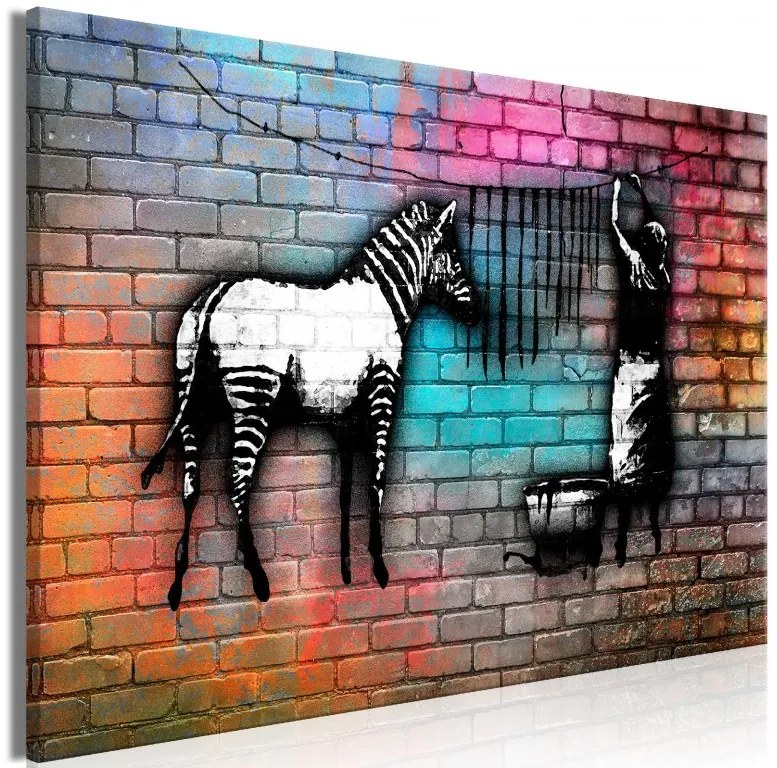 Artgeist Obraz - Washing Zebra - Colourful Brick (1 Part) Wide Veľkosť: 60x40, Verzia: Premium Print