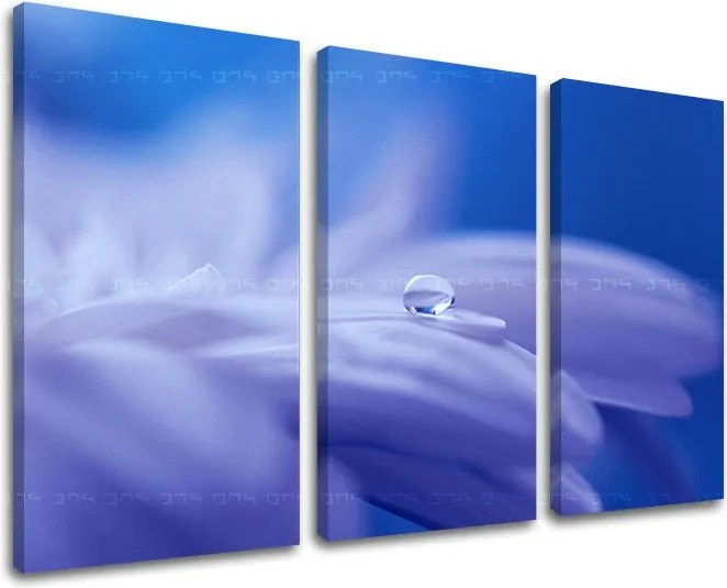 Obraz na stenu 3 dielny KVETY KV087E30 - 60x40 cm