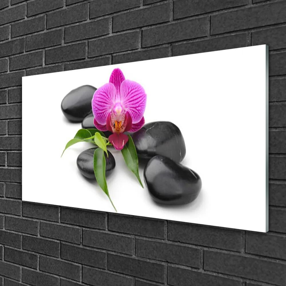 Obraz na skle Kvet kamene umenie 125x50 cm