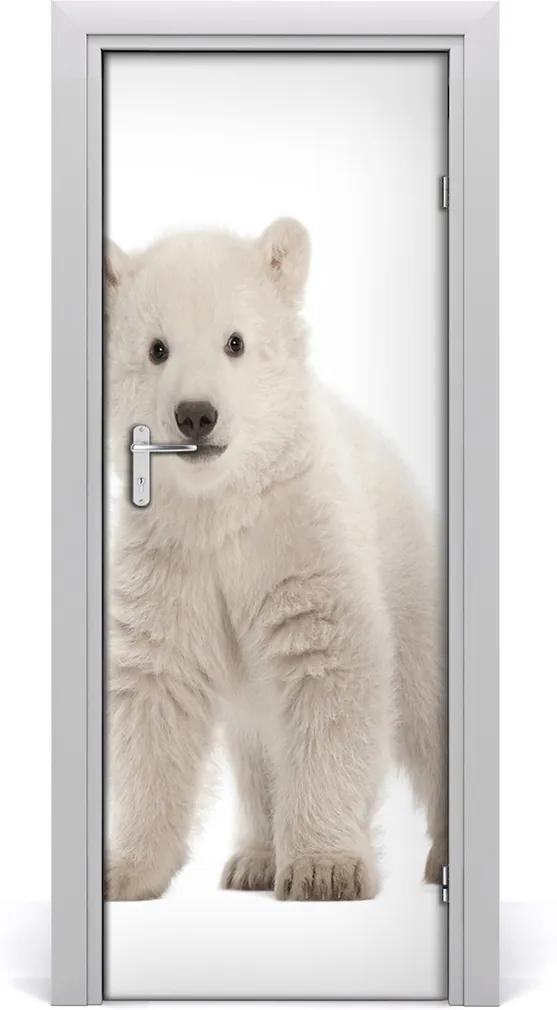 Samolepiace fototapety na dvere  Ľadový medveď