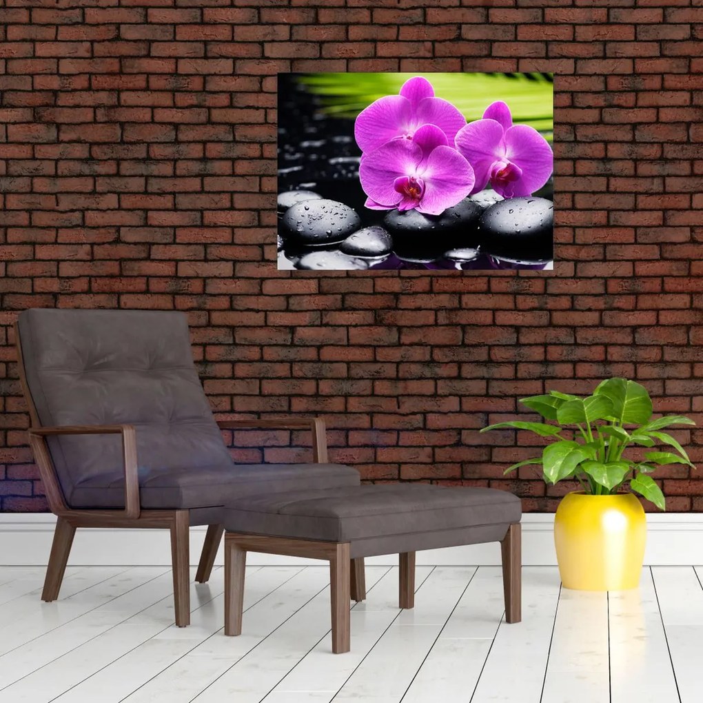 Obraz - Orchidey (70x50 cm)