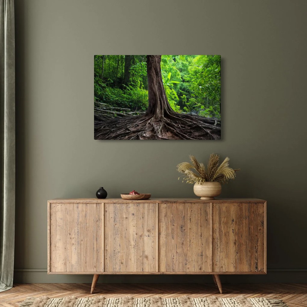 Obraz - Starý strom s koreňmi (90x60 cm)