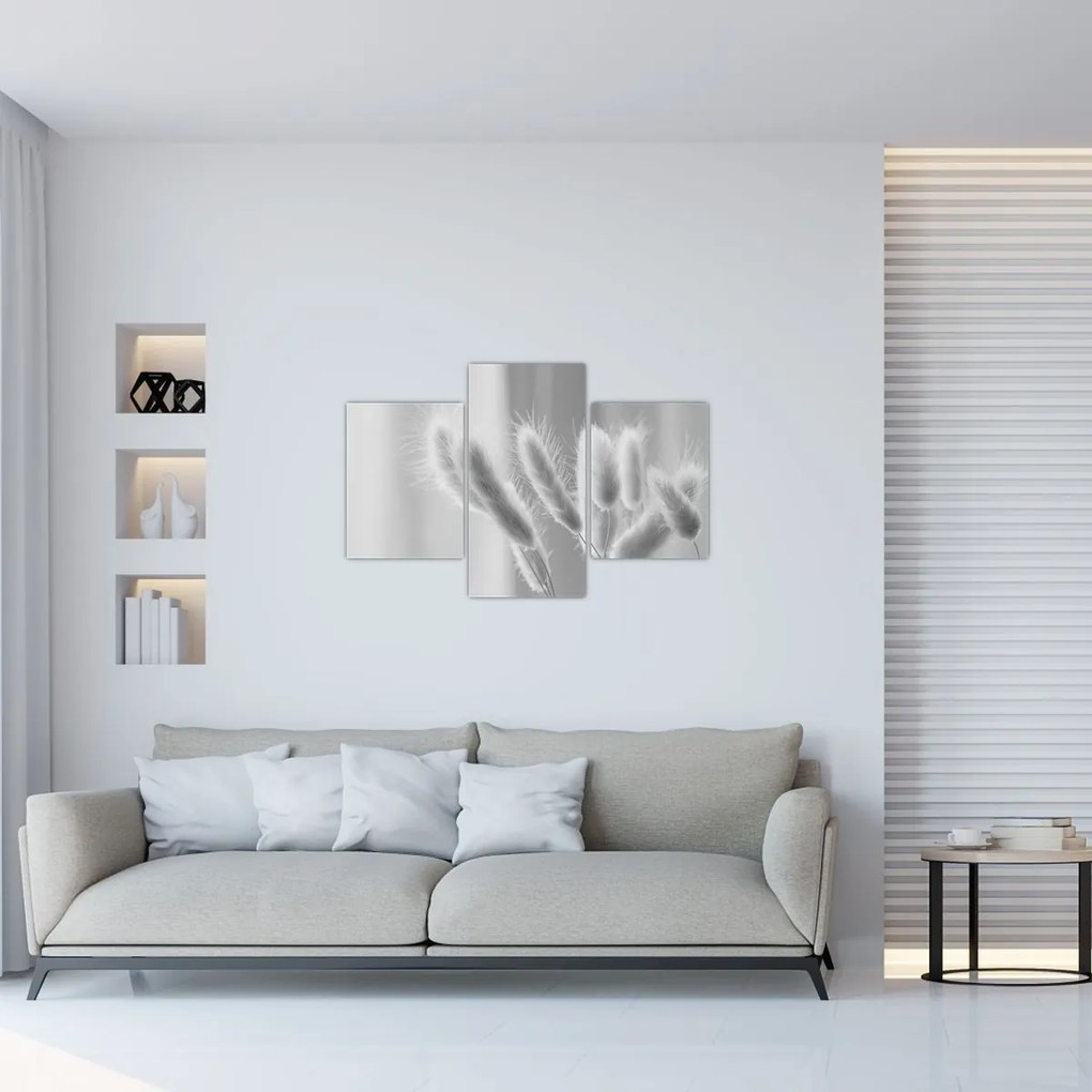 Obraz - Bunny tail grass (90x60 cm)