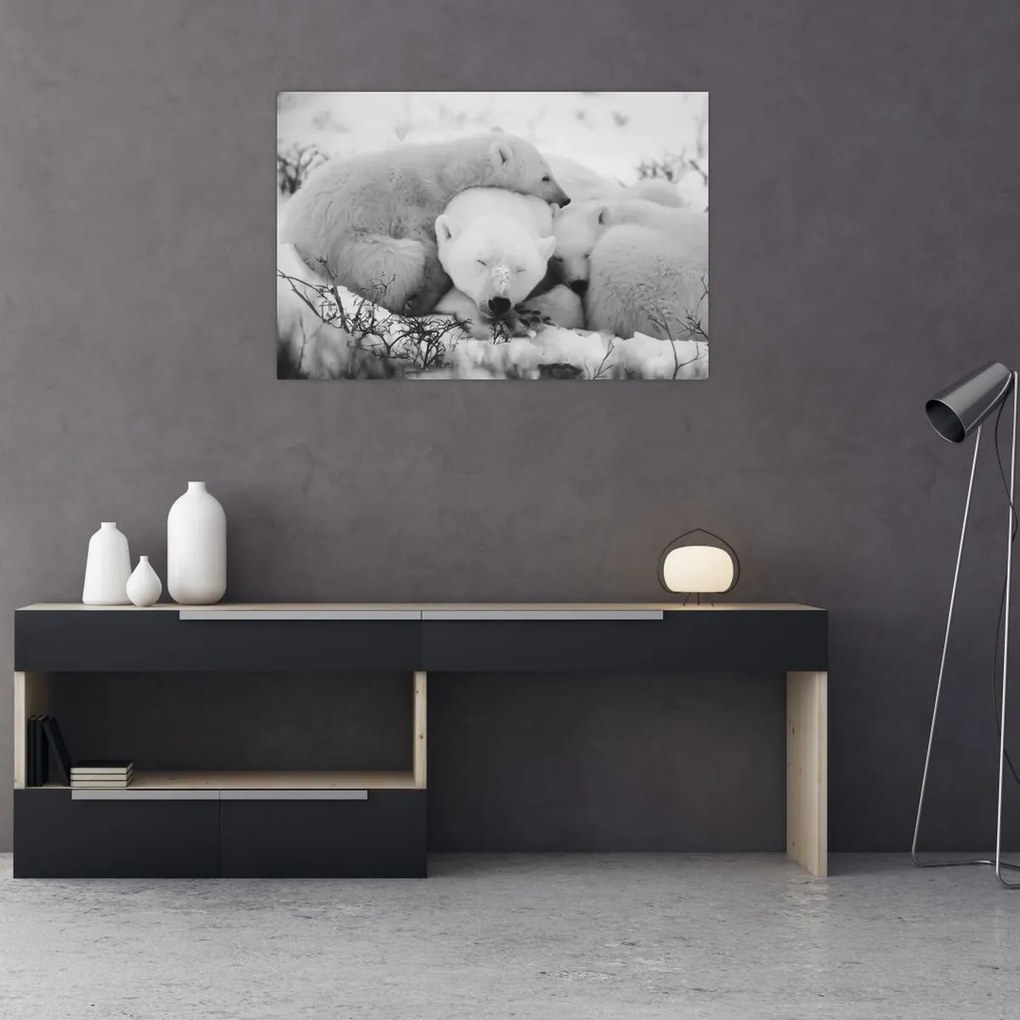 Obraz - Ľadové medvede (90x60 cm)