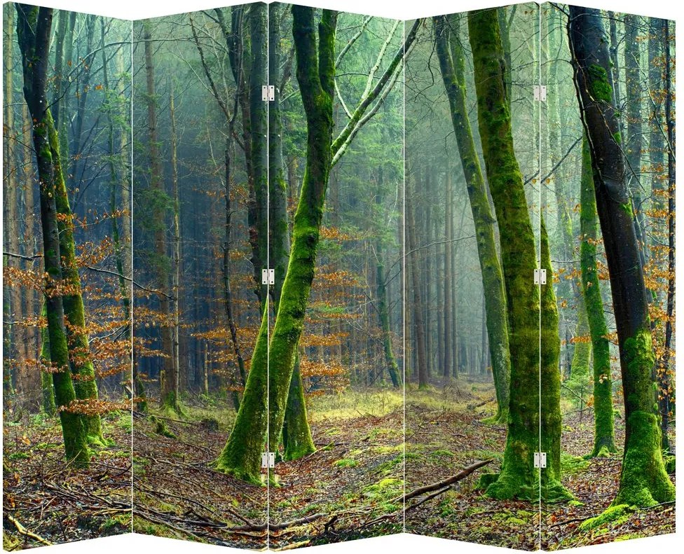 Paraván - Les (210x170 cm)