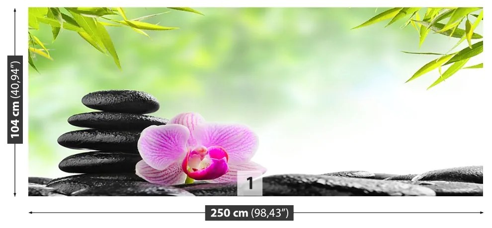 Fototapeta Vliesová Orchidea a kamene 152x104 cm
