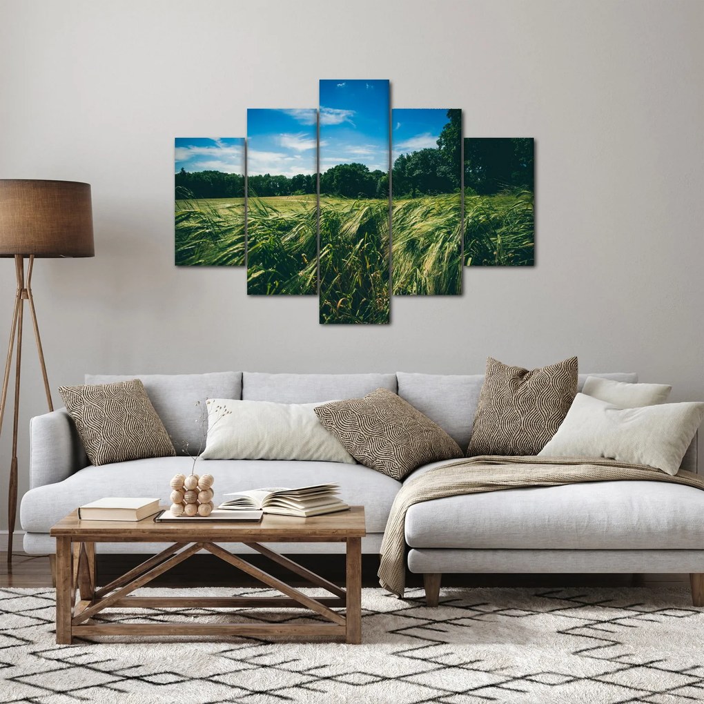 Obraz lúky a lesa (150x105 cm)