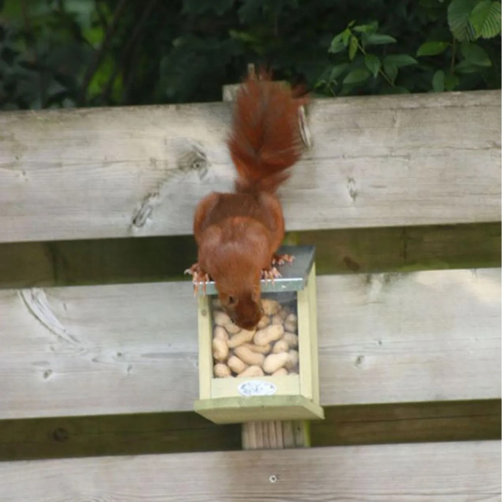 Kŕmidlo pre veveričky Ema, 19x12,5x25,5 cm, drevo/kov, hnedá