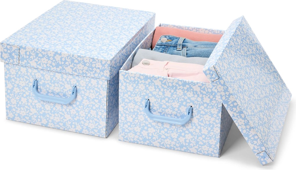 Úložné škatule s vekom, 2 ks