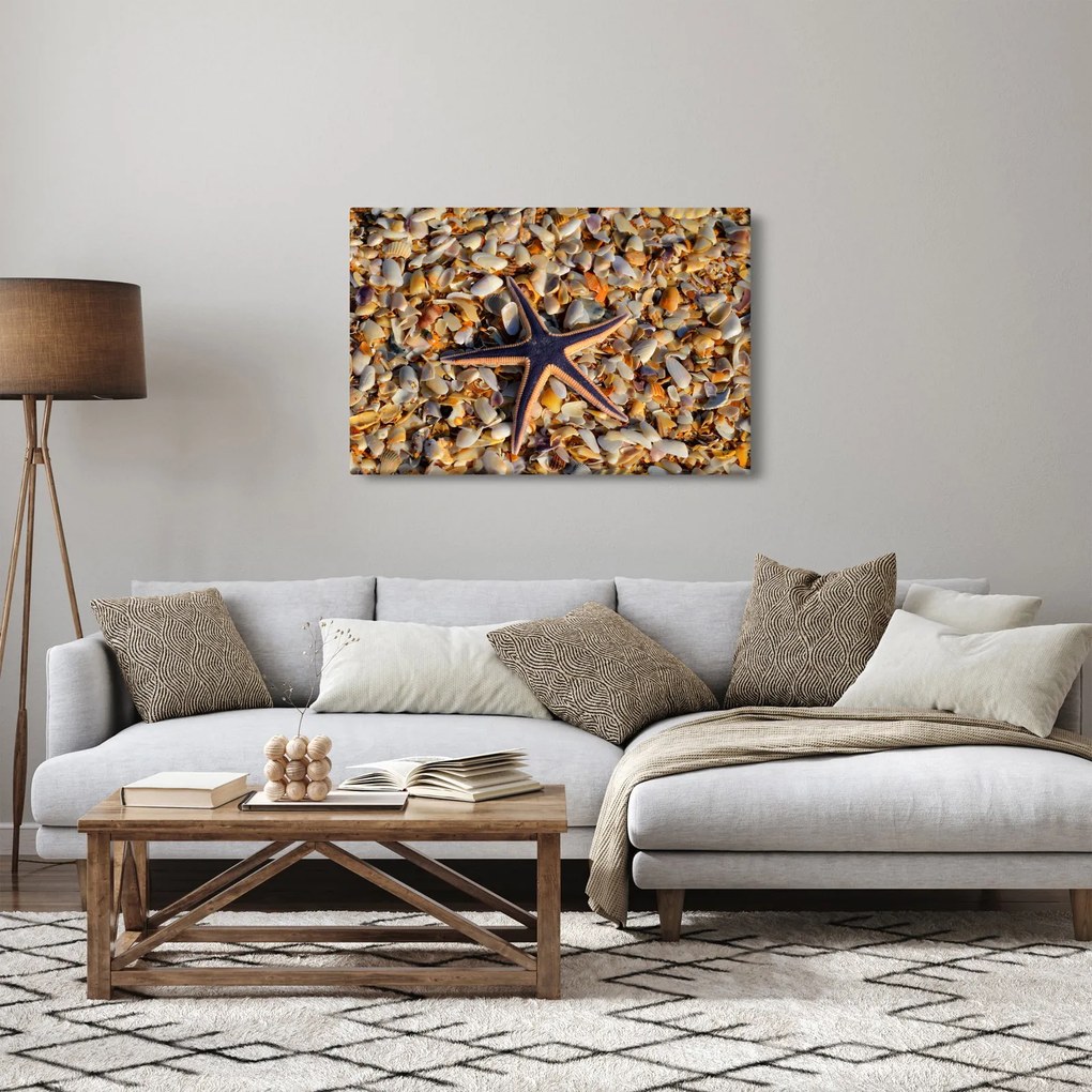 Obraz morskej hviezdice (90x60 cm)