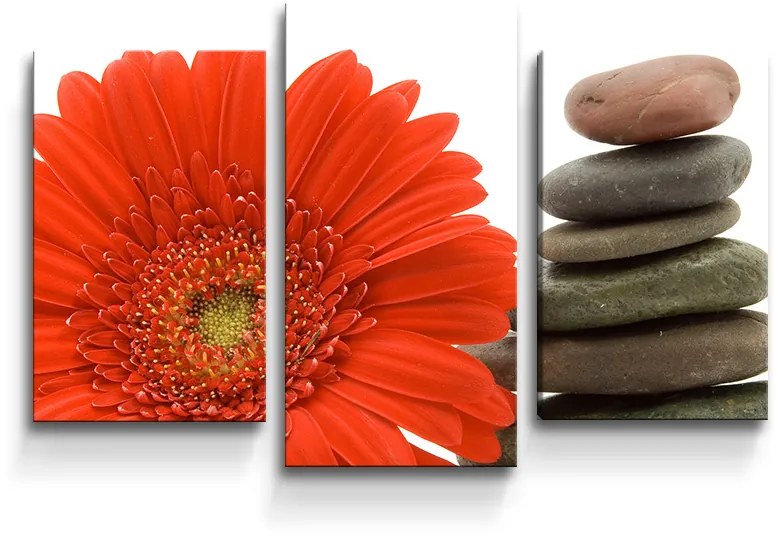 Sablio Obraz - 3-dílný Gerbera s kameňmi - 75x50 cm