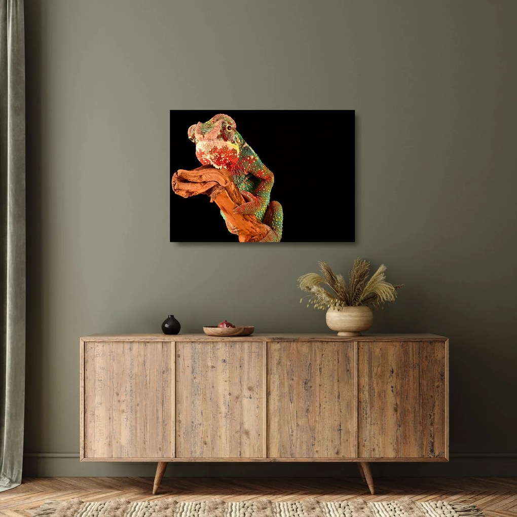 Sklenený obraz chameleóna na vetve (70x50 cm)