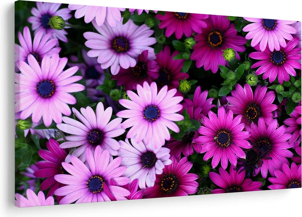 Obraz - Kvety (90x60 cm)