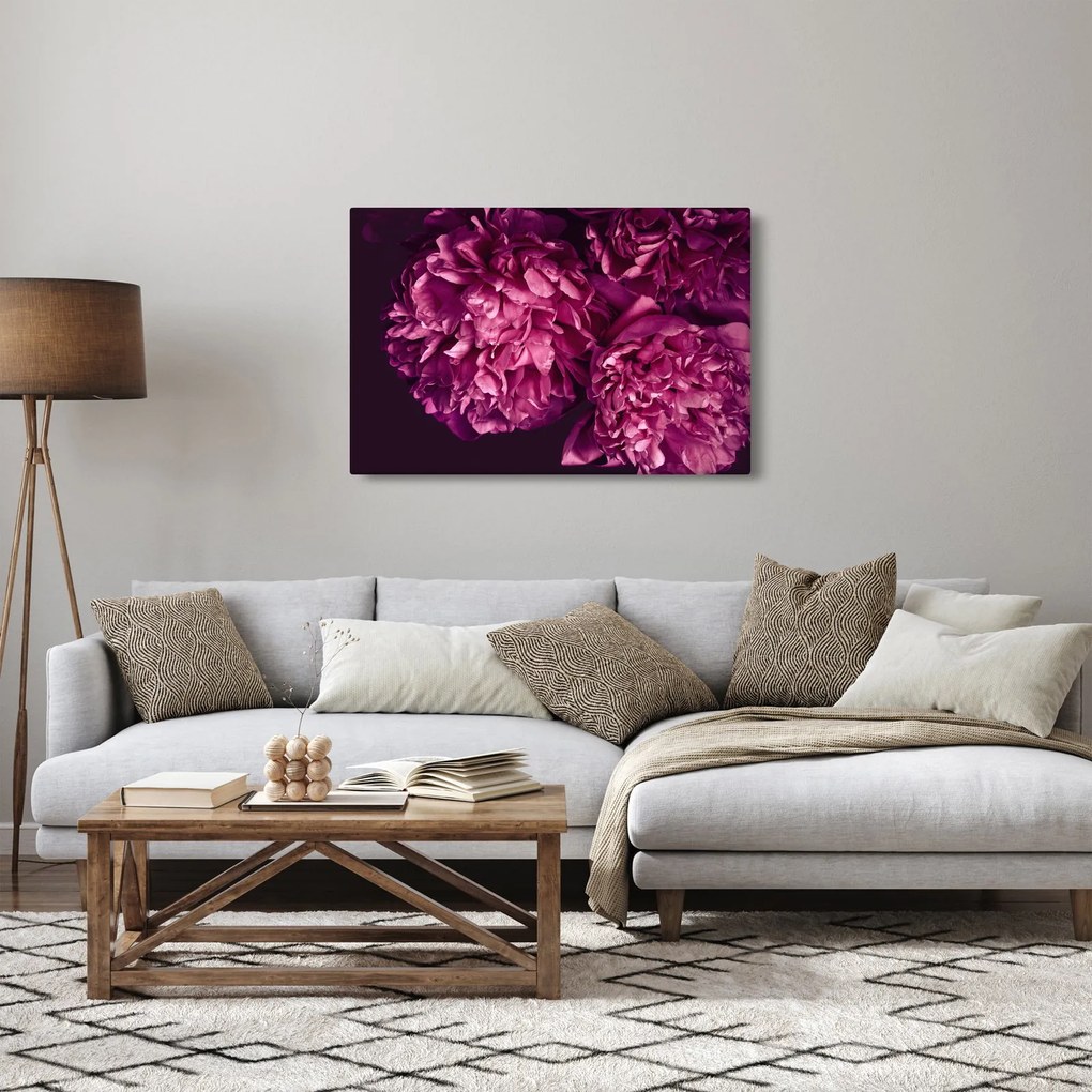 Obraz - Kytica pivoniek (90x60 cm)