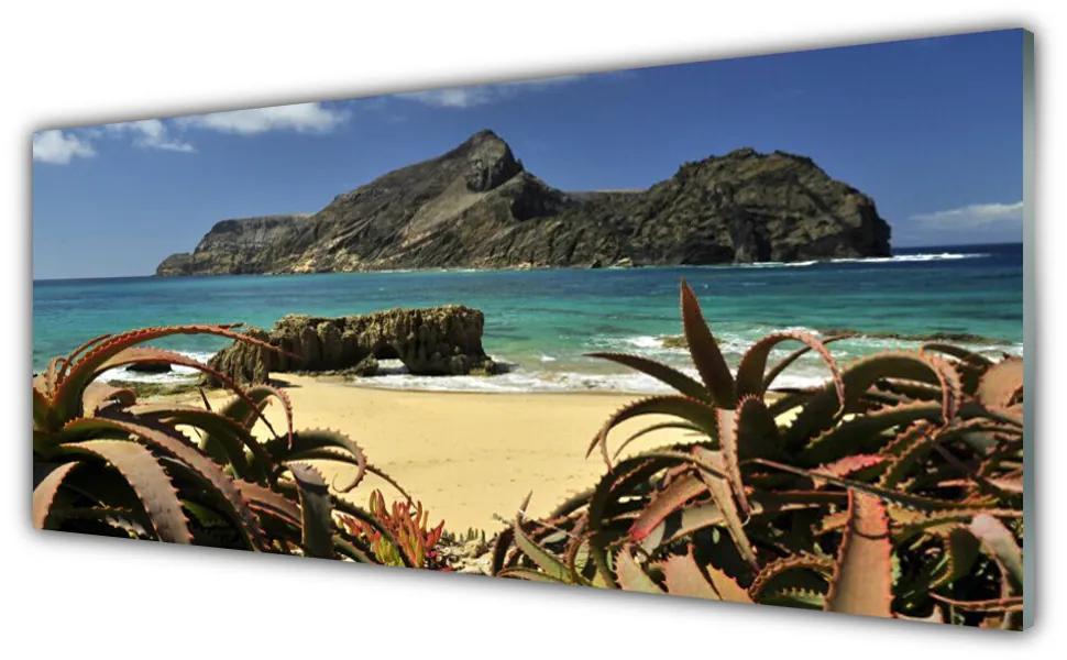 Obraz plexi Pláž more skala príroda 125x50 cm