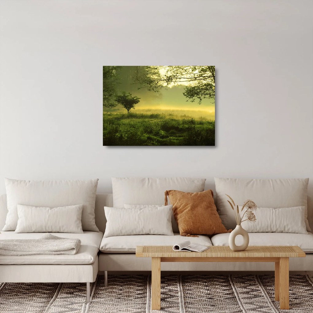 Sklenený obraz - Prebúdzajúci sa les (70x50 cm)