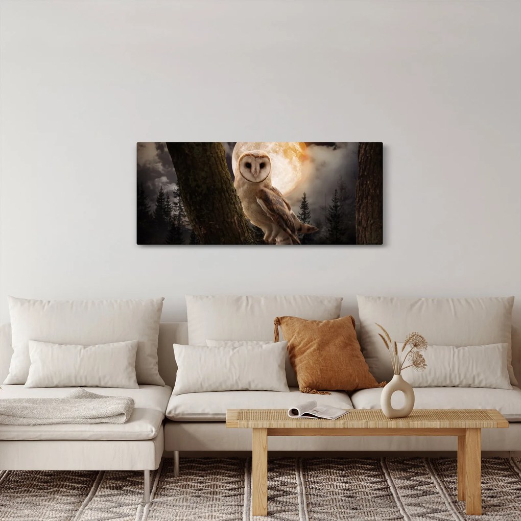 Obraz sovy (120x50 cm)